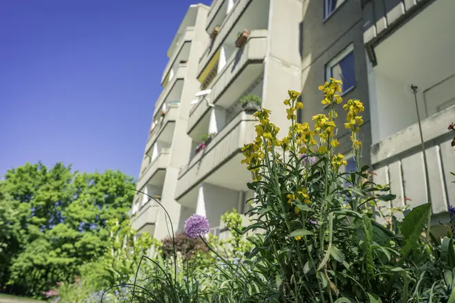 3 Zimmer Wohnung mit 55 m² in Chemnitz – Bild 1