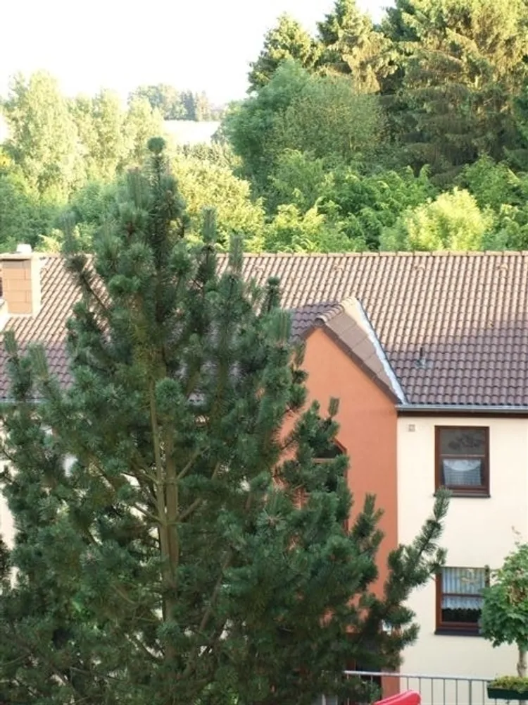 3 Zimmer Wohnung mit 91 m² in Leverkusen – Bild 1