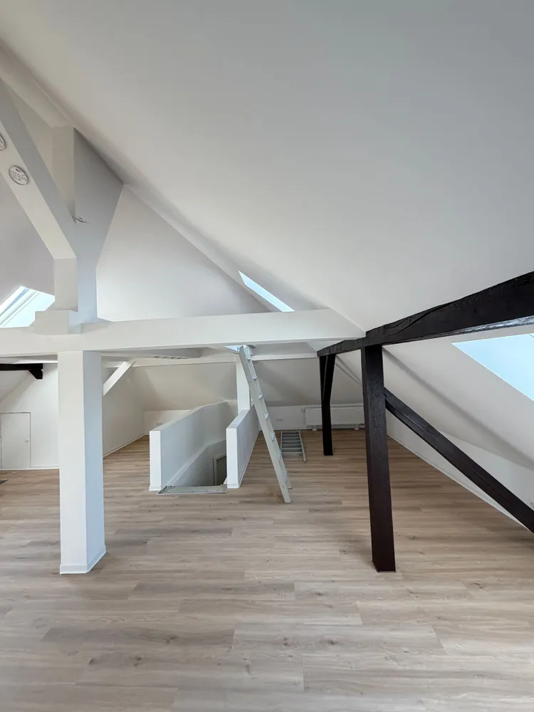 1 Zimmer Wohnung mit 41 m² in Dresden – Bild 4