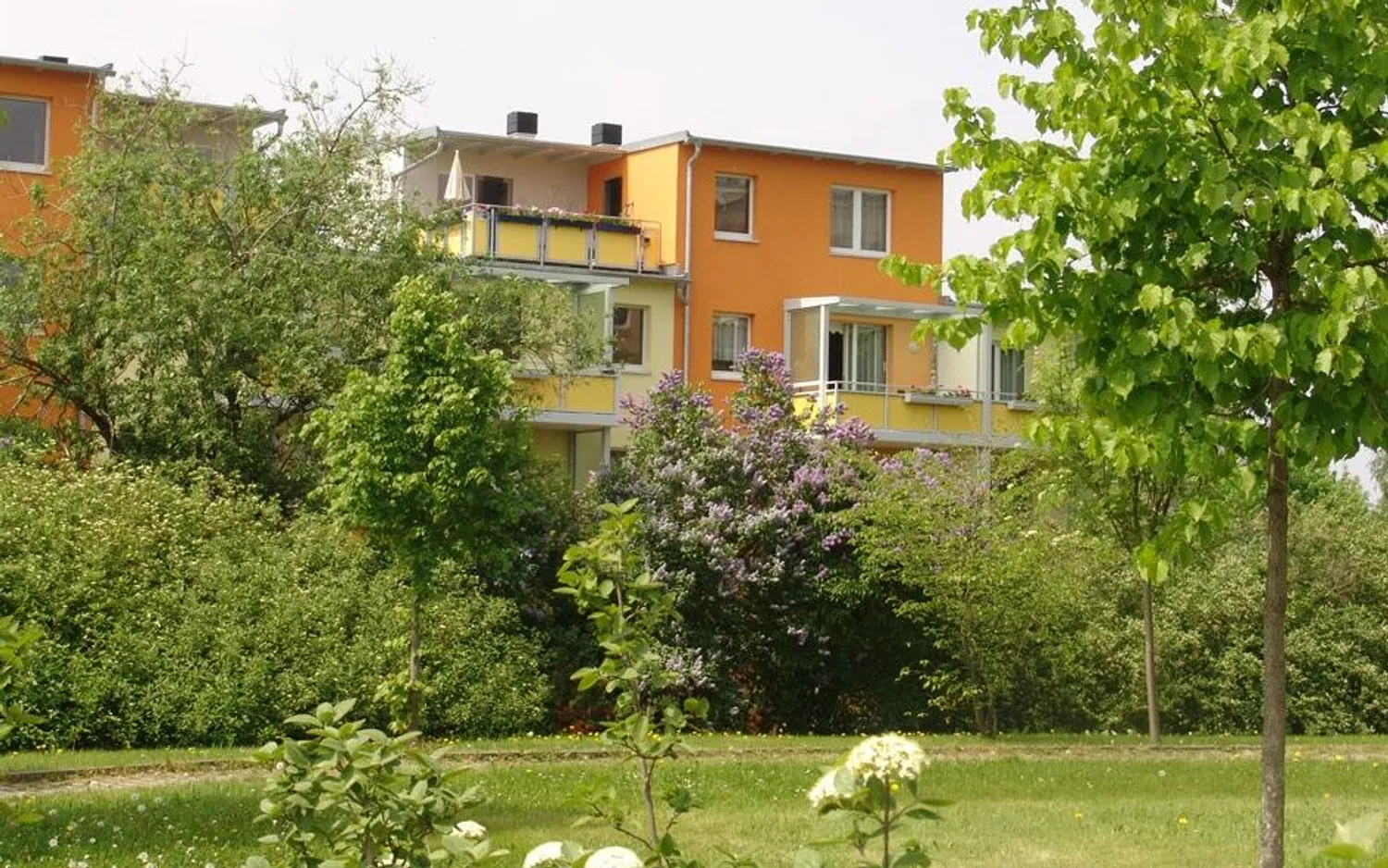 3 Zimmer Wohnung mit 59 m² in Zwickau – Bild 2