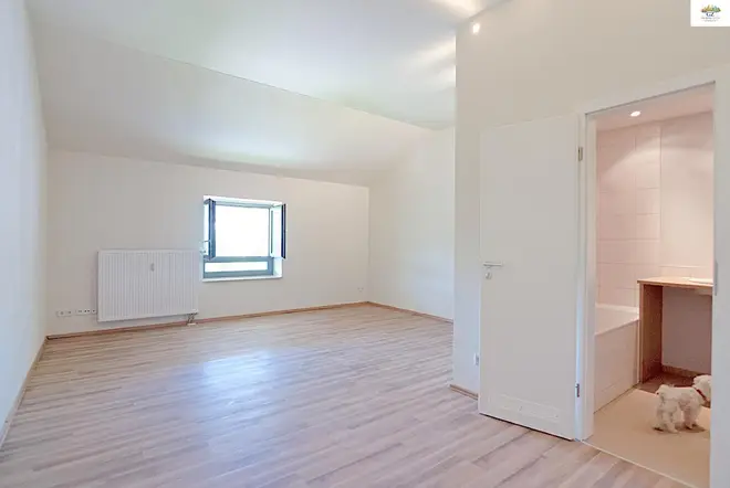 1 Zimmer Wohnung mit 33 m² in Dresden – Bild 3
