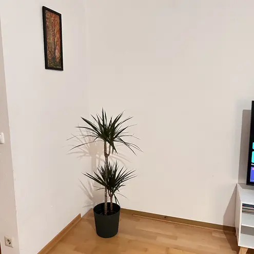 3 Zimmer Wohnung mit 86 m² in Braunschweig – Bild 10