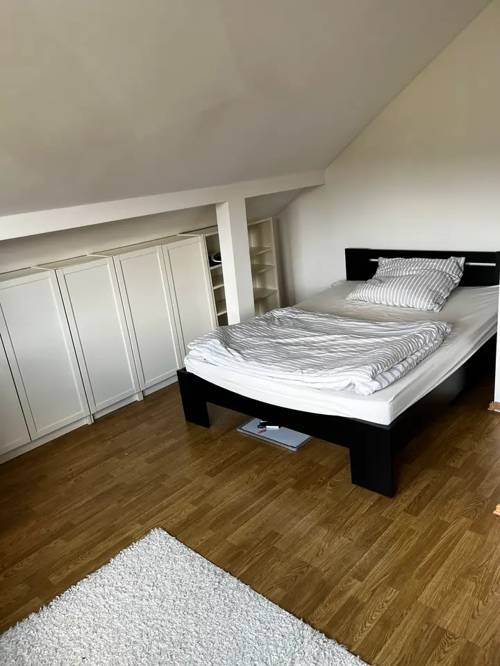 2 Zimmer Wohnung mit 24 m² in Wernigerode – Bild 2