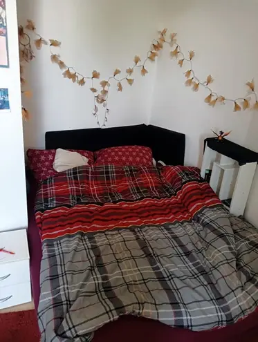 2 Zimmer Wohnung mit 65 m² in Erfurt – Bild 5