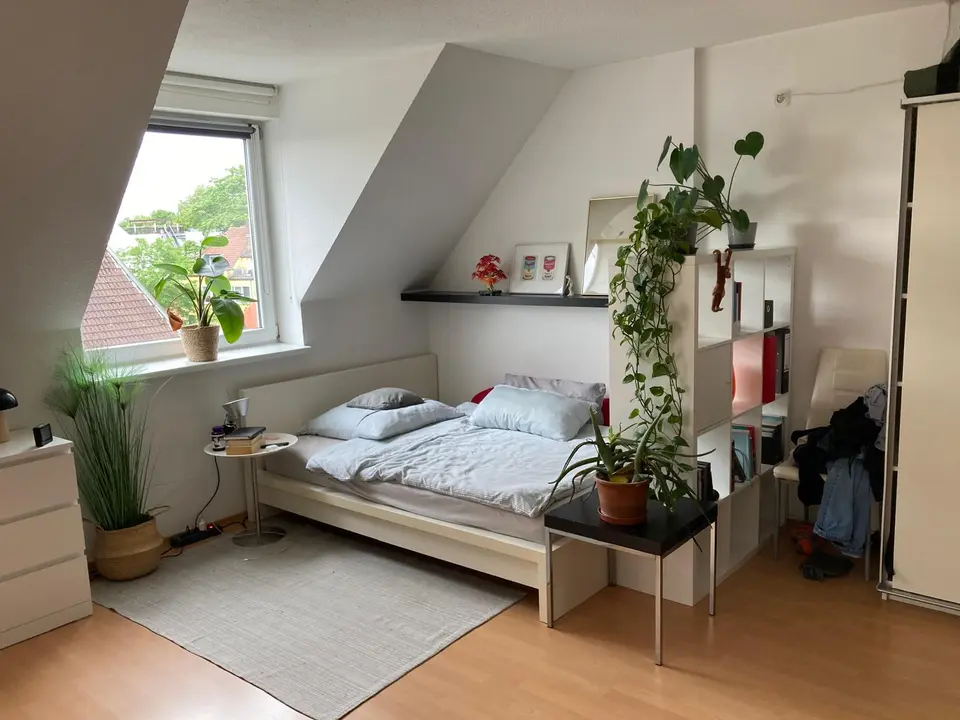 2 Zimmer Wohnung mit 43 m² in Osnabrück – Bild 1