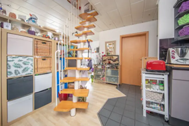 3 Zimmer Wohnung mit 49 m² in Lübeck – Bild 6