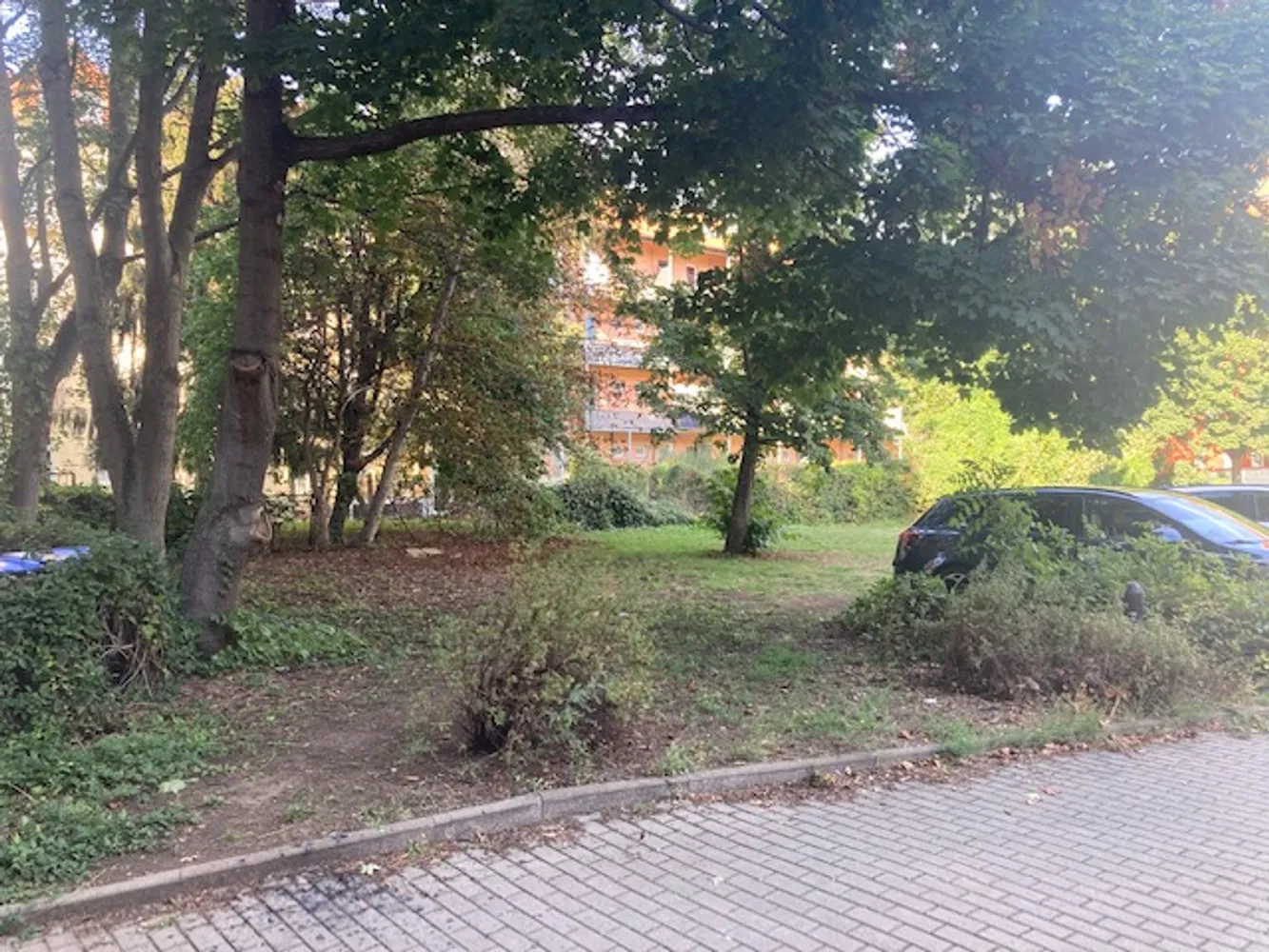 3 Zimmer Wohnung mit 67 m² in Erfurt – Bild 4