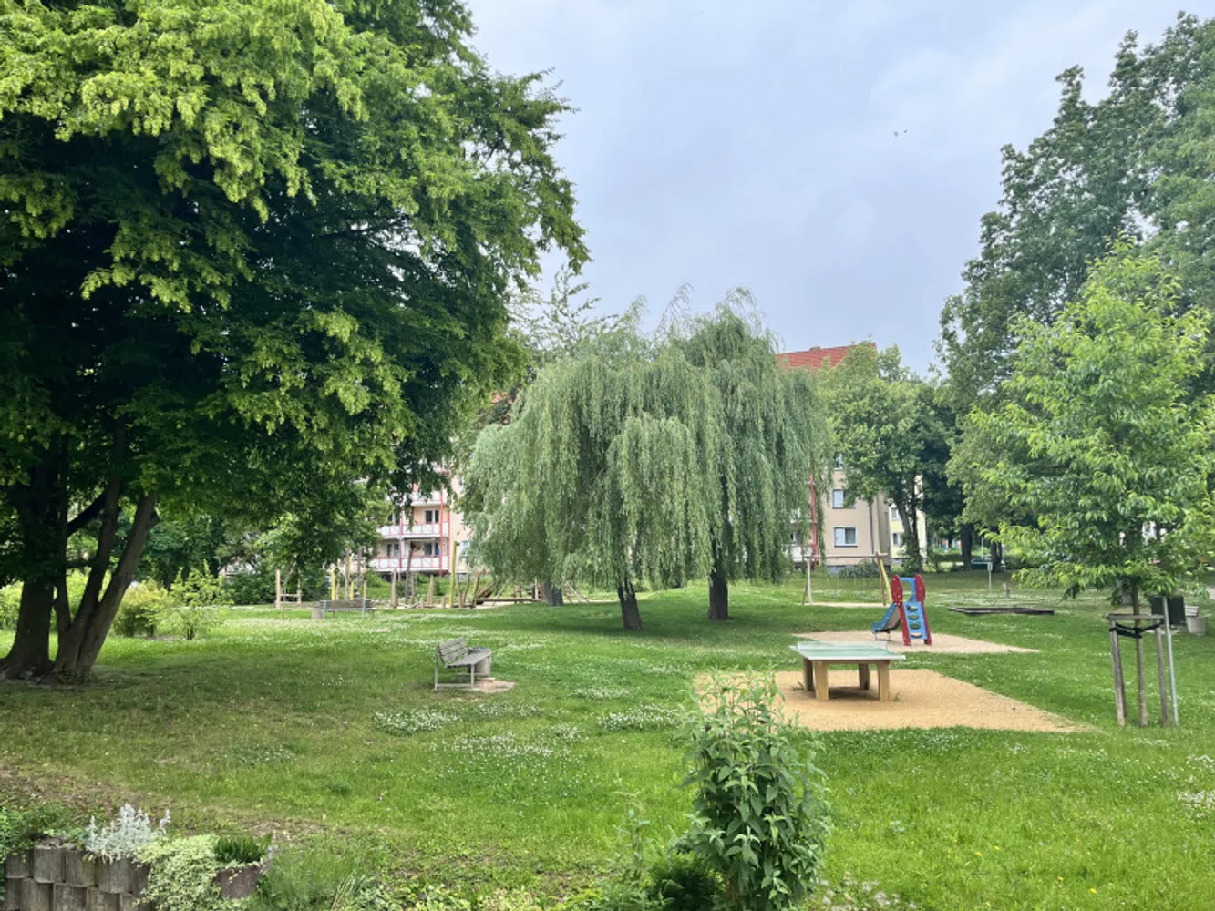 3 Zimmer Wohnung mit 62 m² in Zwickau – Bild 3
