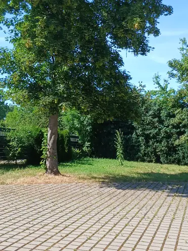 3 Zimmer Wohnung mit 60 m² in Magdeburg – Bild 12