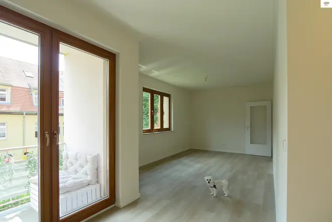2 Zimmer Wohnung mit 50 m² in Dresden – Bild 4