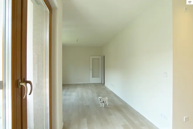 2 Zimmer Wohnung mit 50 m² in Dresden – Bild 8