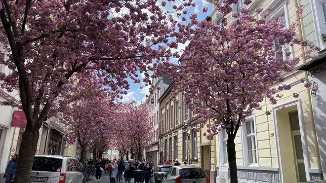 3 Zimmer Wohnung mit 100 m² in Bonn – Bild 6