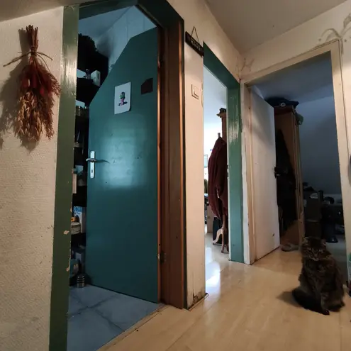 2 Zimmer Wohnung mit 37 m² in Marburg – Bild 2