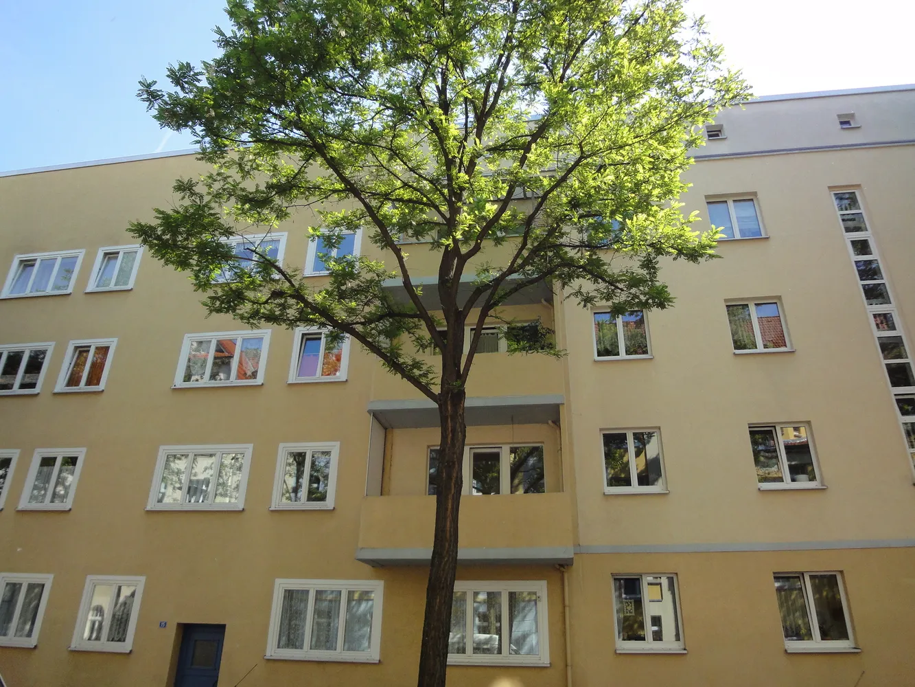 3 Zimmer Wohnung mit 92 m² in Erfurt – Bild 1