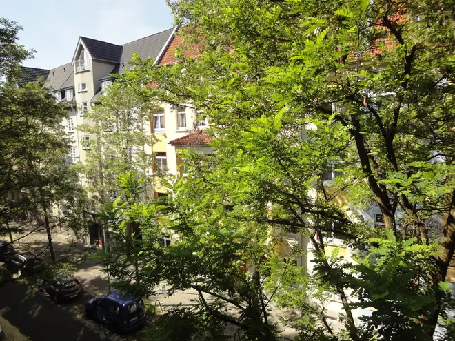 3 Zimmer Wohnung mit 92 m² in Erfurt – Bild 3