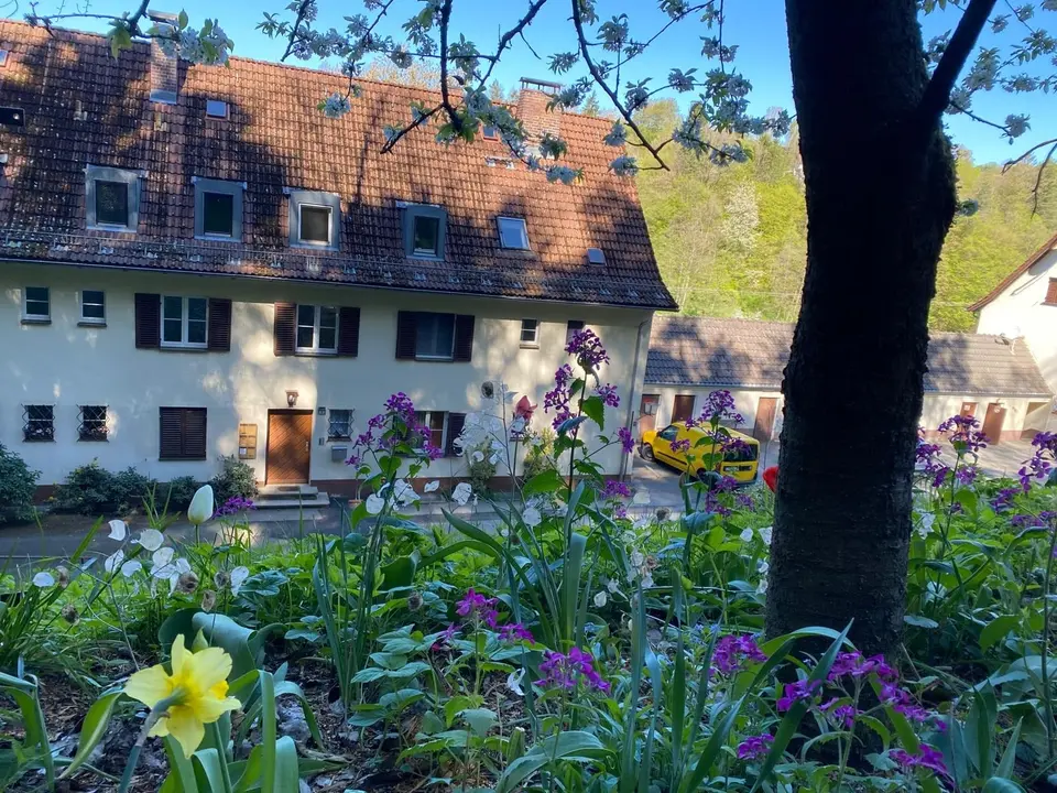2 Zimmer Wohnung mit 29 m² in Cham – Bild 1