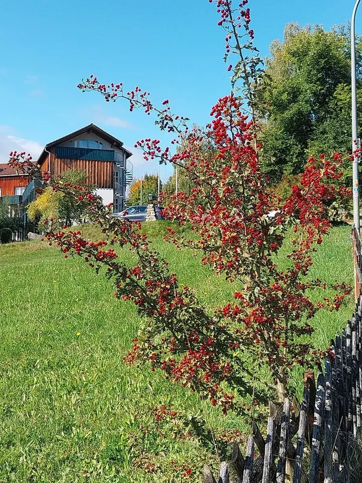 2 Zimmer Wohnung mit 29 m² in Cham – Bild 5