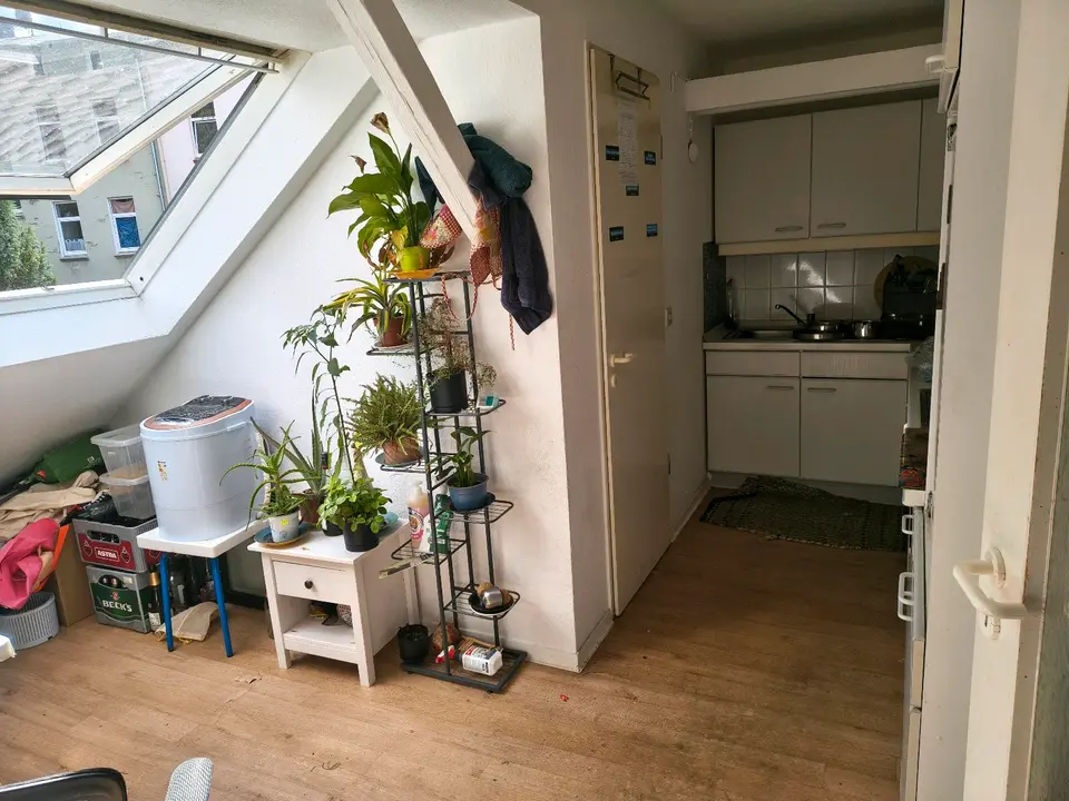 WG-Zimmer mit 55 m² in Winsen (Luhe) – Bild 4