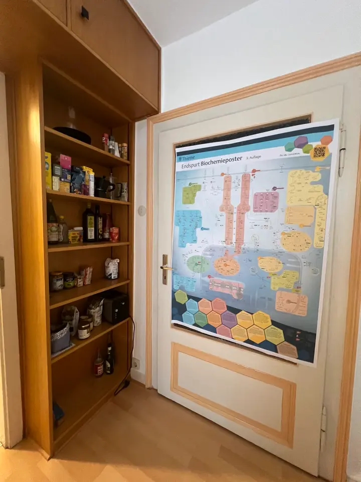 2 Zimmer Wohnung mit 35 m² in Marburg – Bild 3