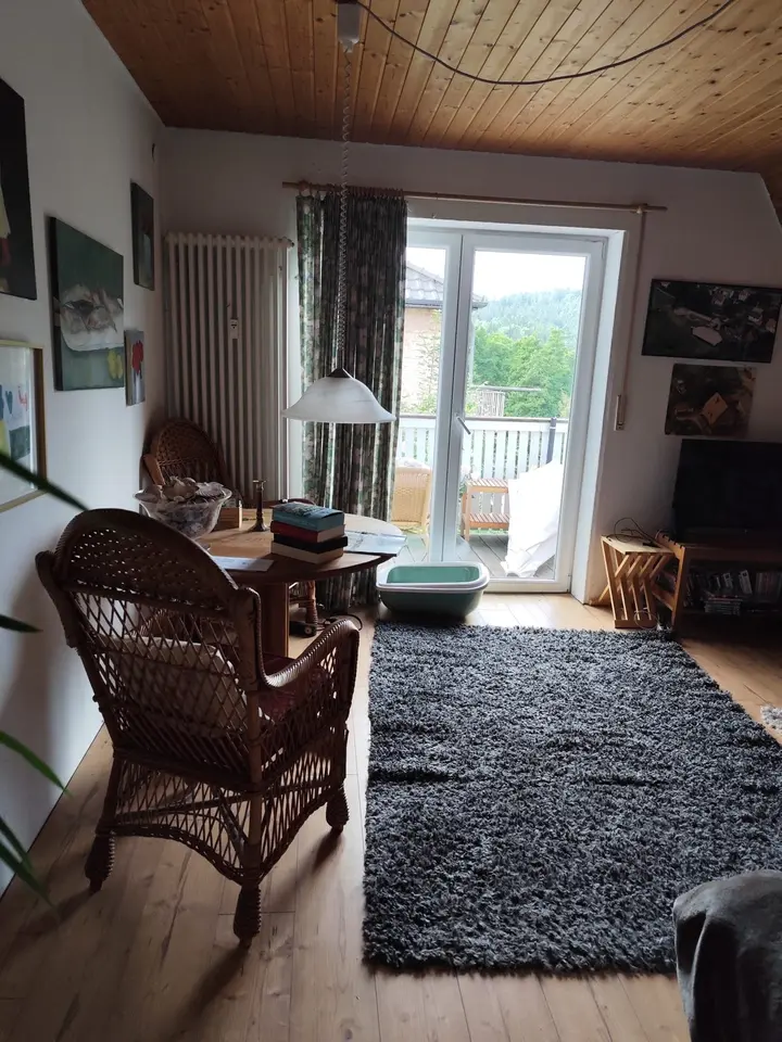 2 Zimmer Wohnung mit 60 m² in Michelstadt – Bild 1
