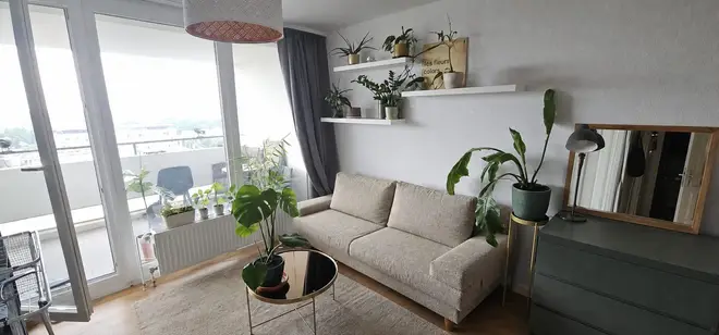 1 Zimmer Wohnung mit 35 m² in Braunschweig – Bild 2