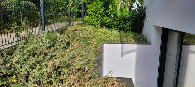 1 Zimmer Wohnung mit 29 m² in Karlsruhe – Bild 9