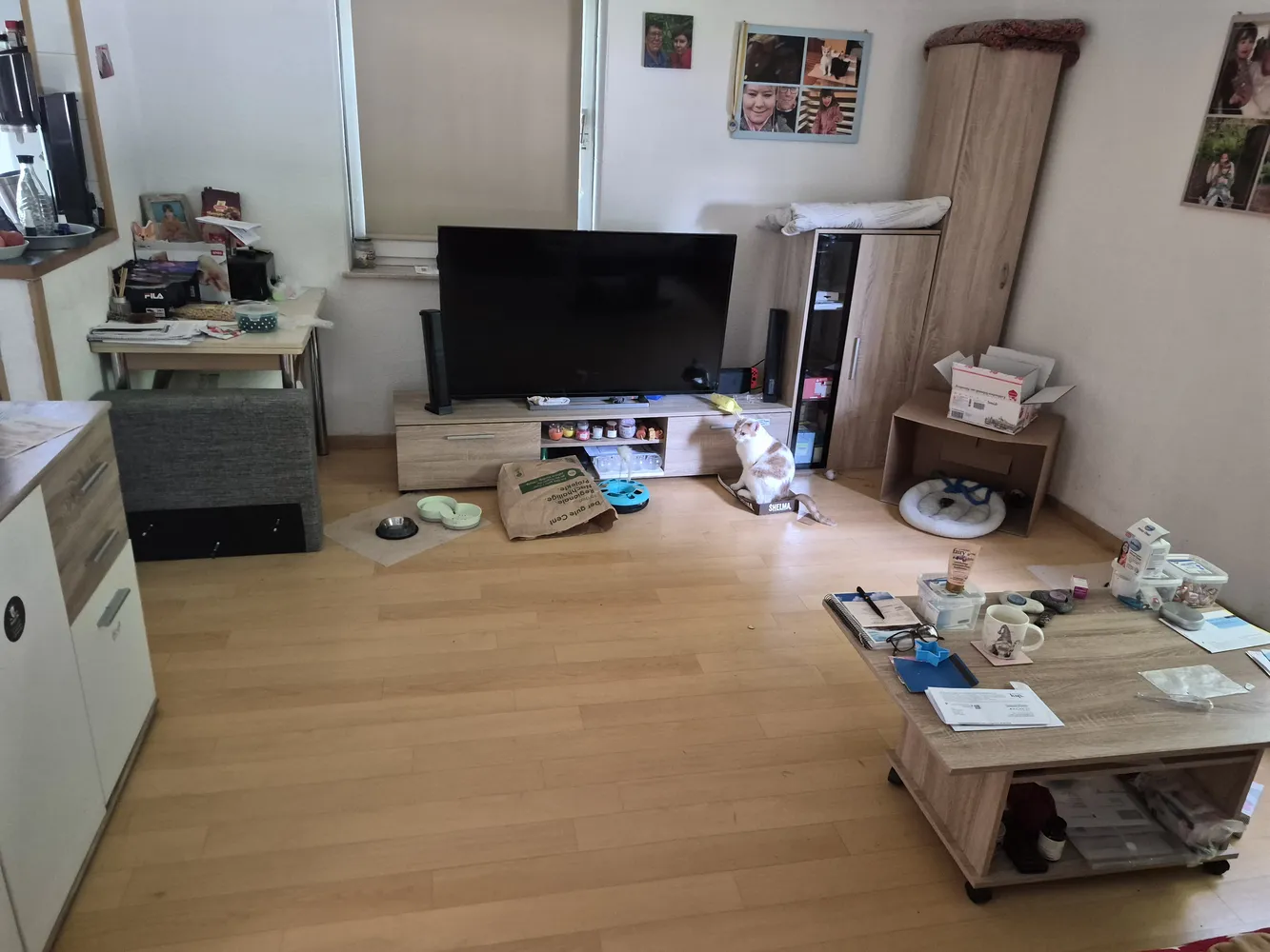 2 Zimmer Wohnung mit 50 m² in Herford – Bild 3