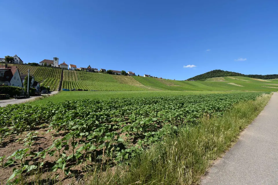 Studio mit 21 m² in Sindelfingen – Bild 8