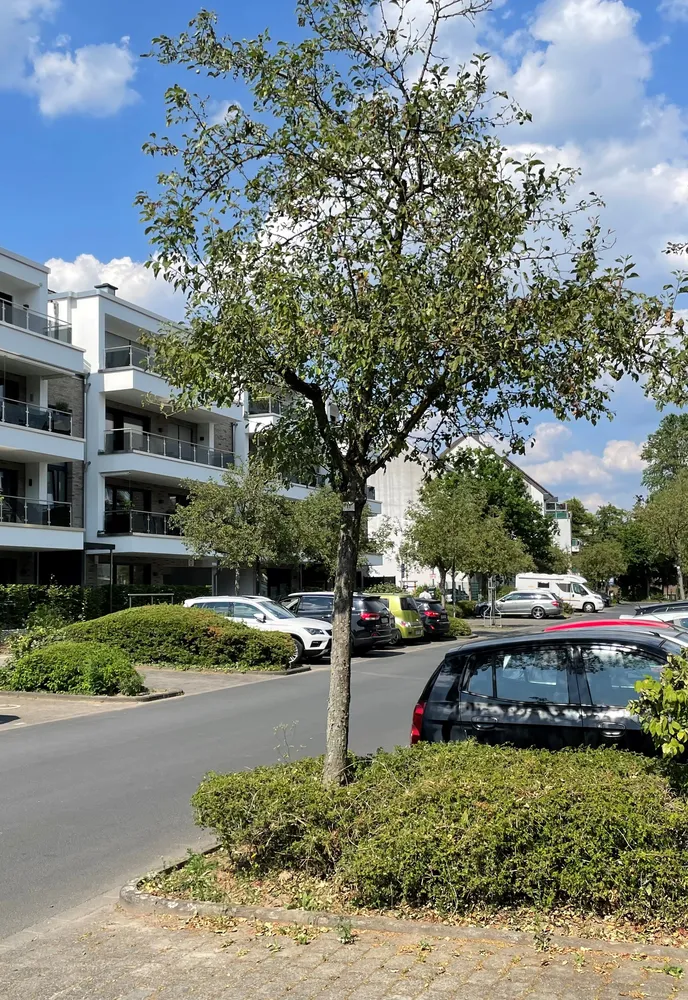 5 Zimmer Wohnung mit 121 m² in Leverkusen – Bild 2