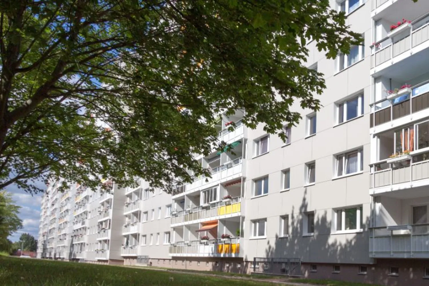 2 Zimmer Wohnung mit 49 m² in Magdeburg – Bild 9