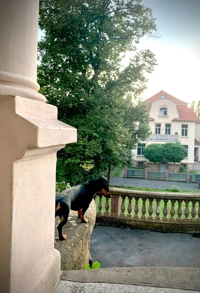 12 Zimmer Wohnung mit 25 m² in Göttingen – Bild 10