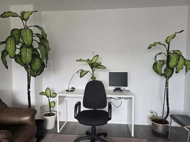 1 Zimmer Wohnung mit 43 m² in Bochum – Bild 3