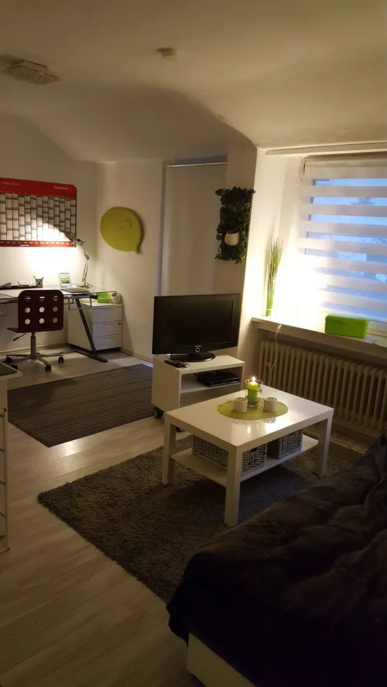 1 Zimmer Wohnung mit 30 m² in Freiburg im Breisgau – Bild 1