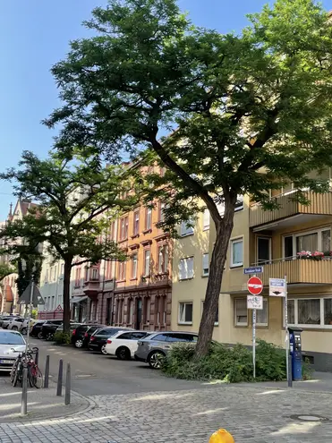 2 Zimmer Wohnung mit 60 m² in Mannheim – Bild 2