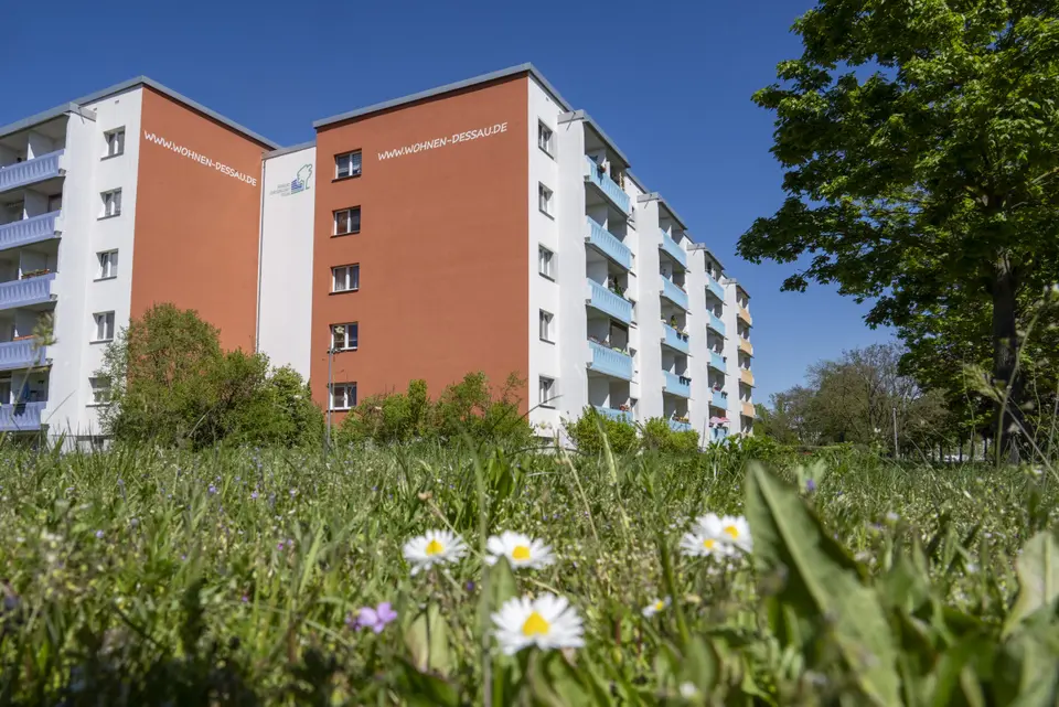 2 Zimmer Wohnung mit 30 m² in Dessau-Roßlau – Bild 6