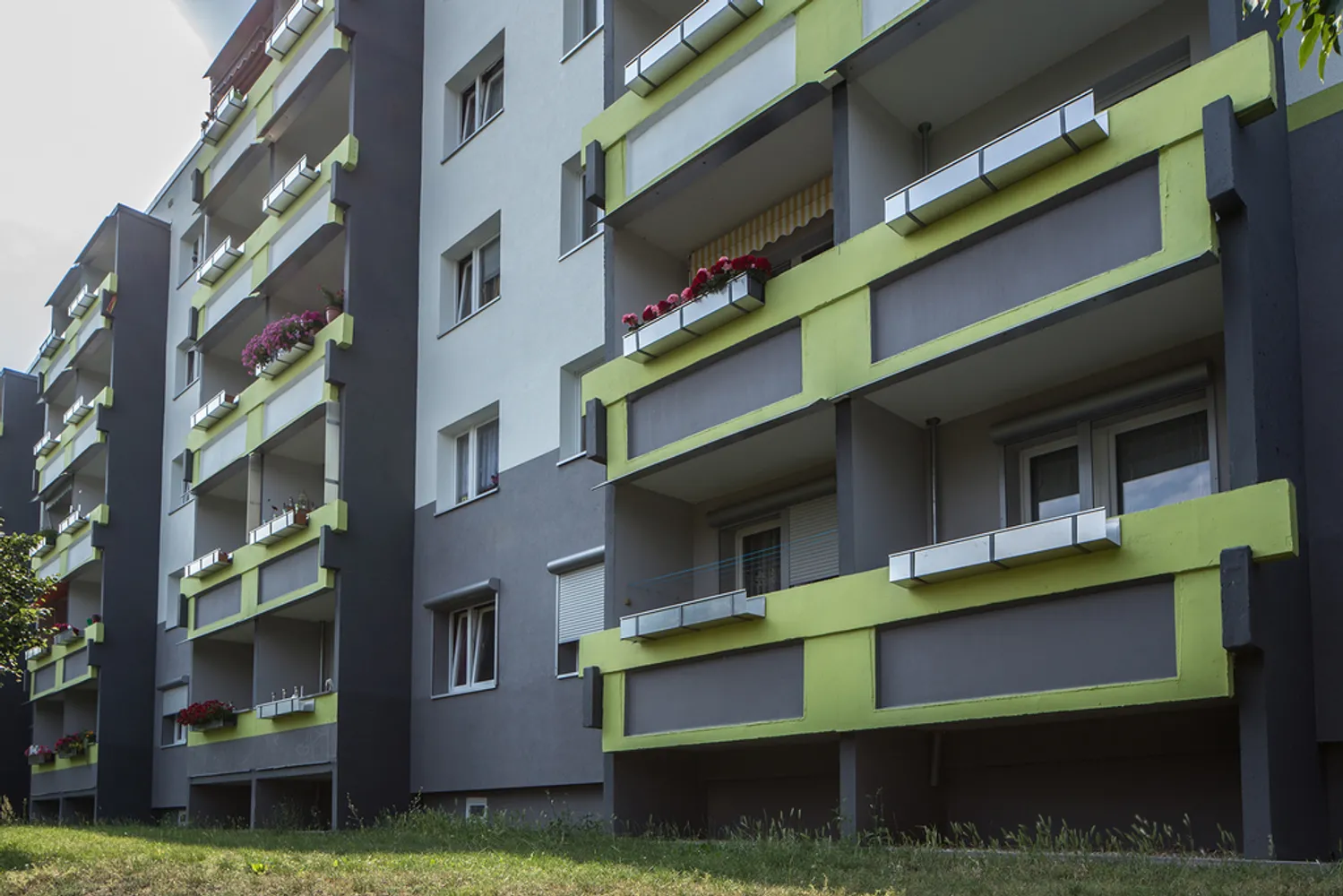 2 Zimmer Wohnung mit 50 m² in Halle (Saale) – Bild 1