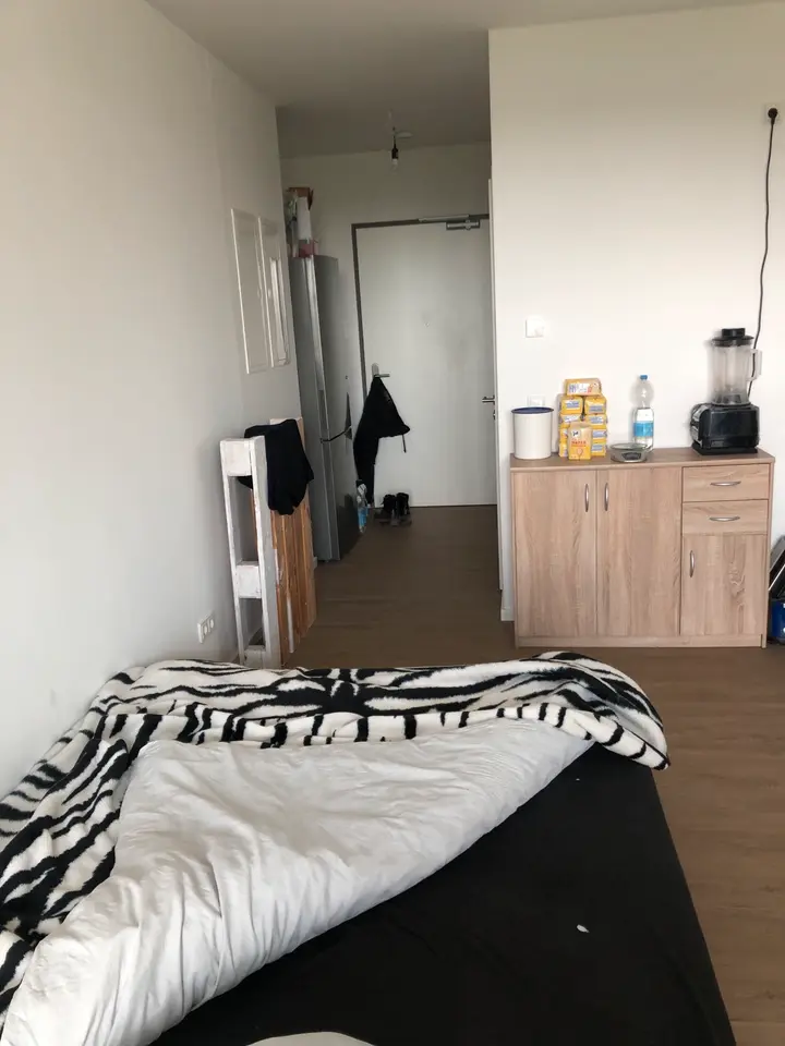 Studio mit 31 m² in Berlin – Bild 3