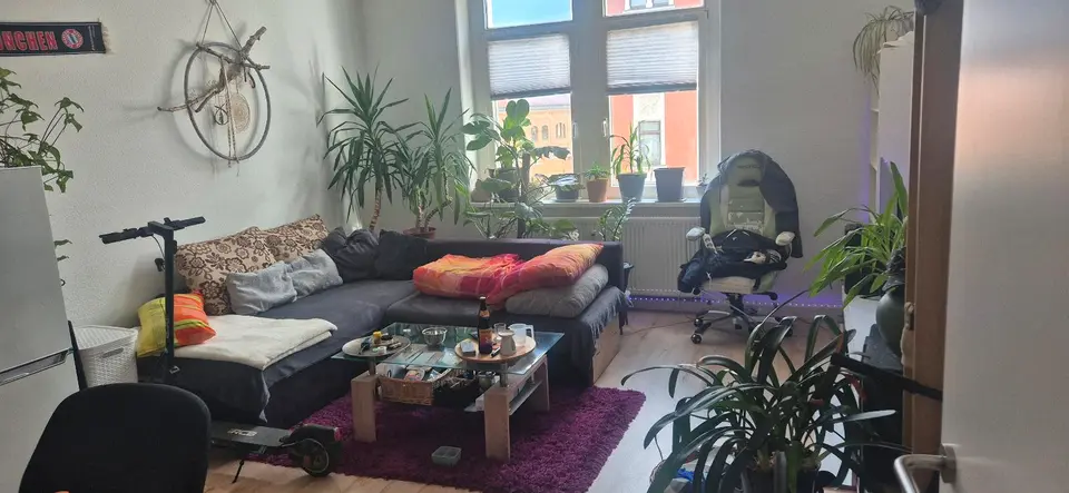 3 Zimmer Wohnung mit 50 m² in Plauen – Bild 5