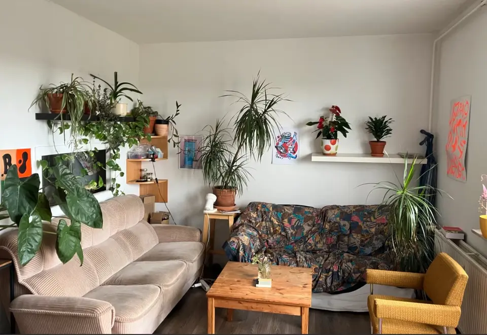 3 Zimmer Wohnung mit 68 m² in Neubrandenburg – Bild 1
