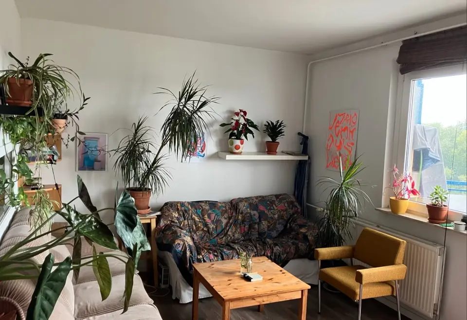 3 Zimmer Wohnung mit 68 m² in Neubrandenburg – Bild 2
