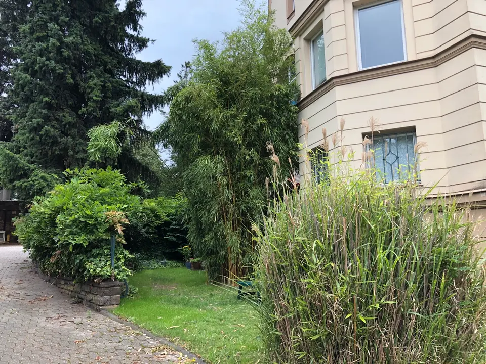 Studio mit 14 m² in Köln – Bild 3