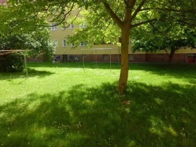 3 Zimmer Wohnung mit 61 m² in Magdeburg – Bild 8