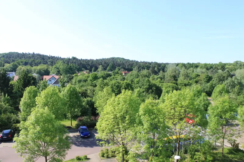Studio mit 36 m² in Halle (Saale) – Bild 3