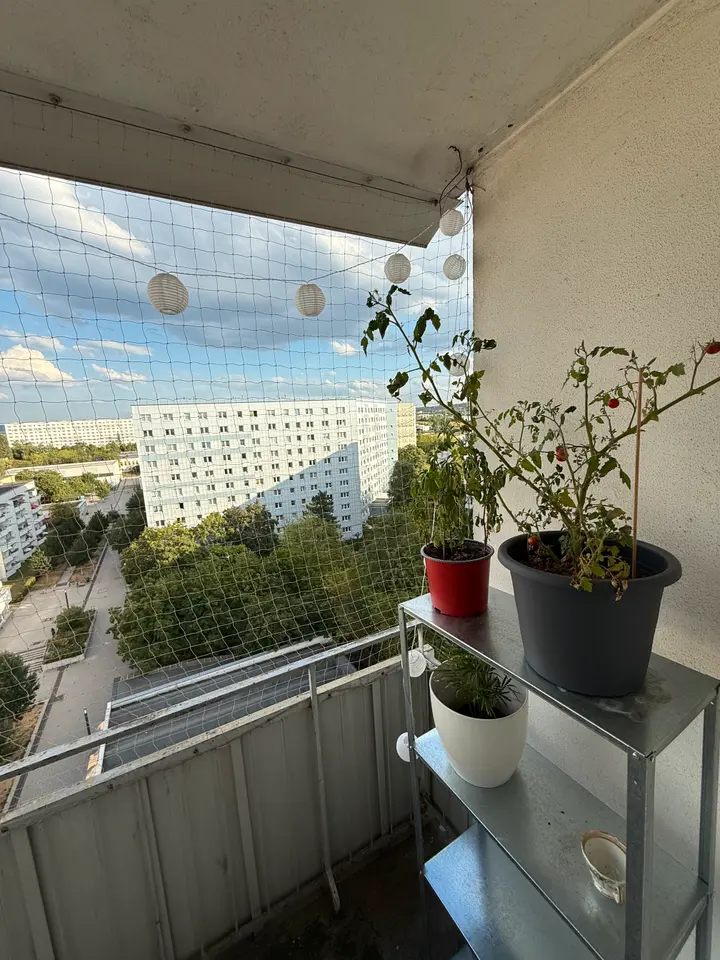 2 Zimmer Wohnung mit 44 m² in Erfurt – Bild 4