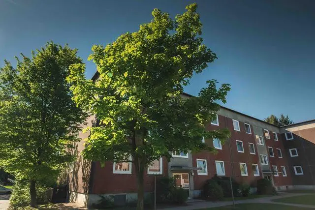 3 Zimmer Wohnung mit 71 m² in Winsen (Luhe) – Bild 7