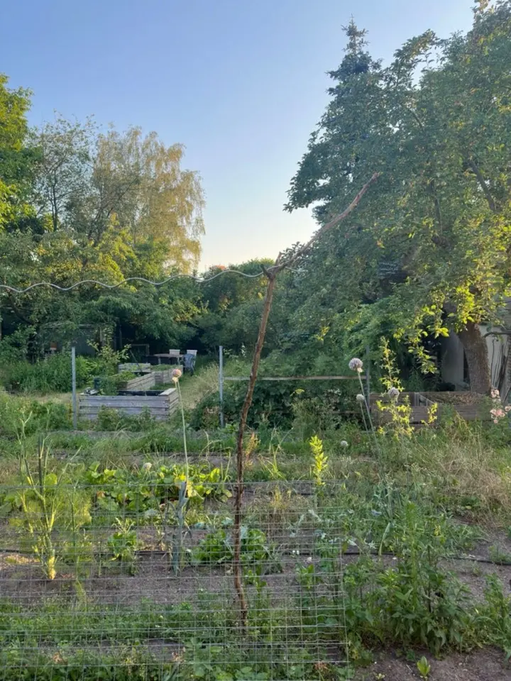 WG-Zimmer mit 9 m² in Neubrandenburg – Bild 7
