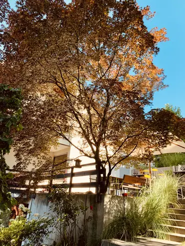 7 Zimmer Haus mit 225 m² in Esslingen am Neckar – Bild 8