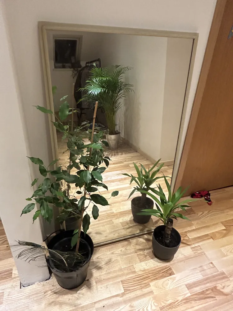 3 Zimmer Wohnung mit 90 m² in Herne – Bild 7