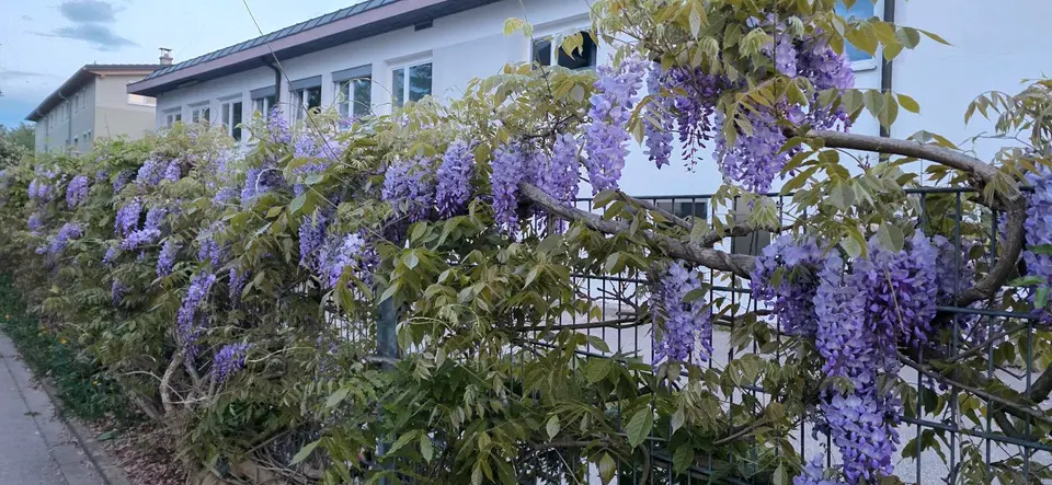 5 Zimmer Haus mit 123 m² in Rosenheim – Bild 7