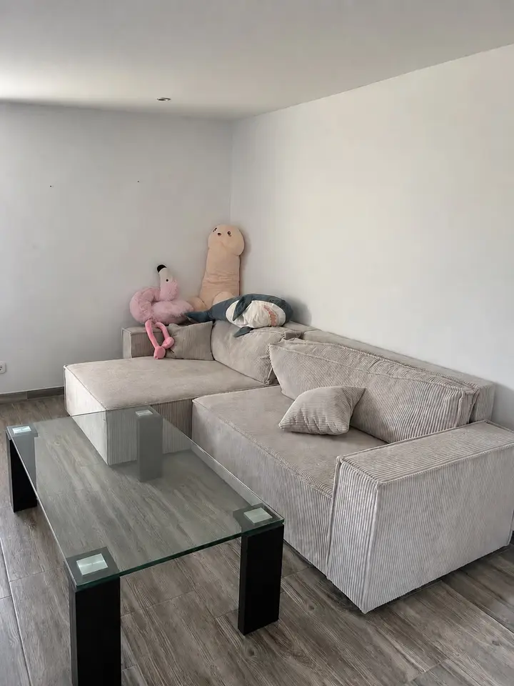 WG-Zimmer mit 30 m² in Greifswald – Bild 2
